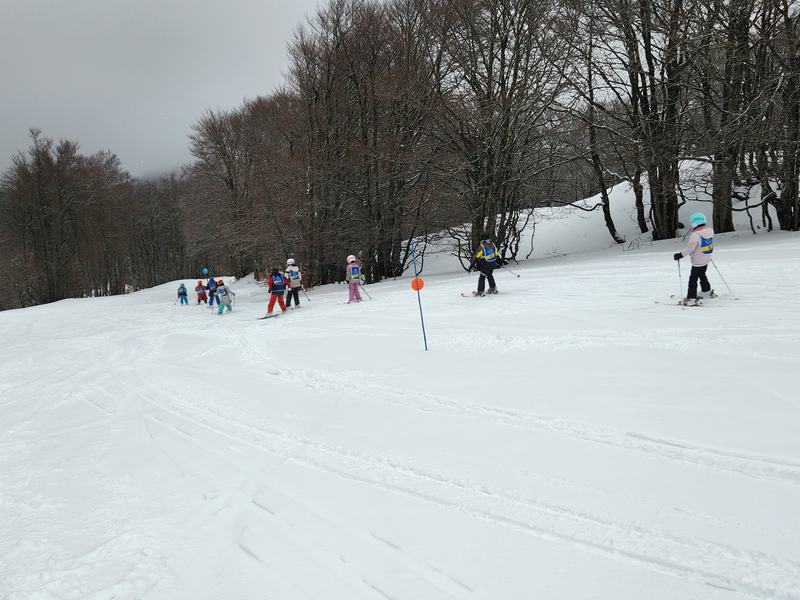 Le Royans sous la neige
