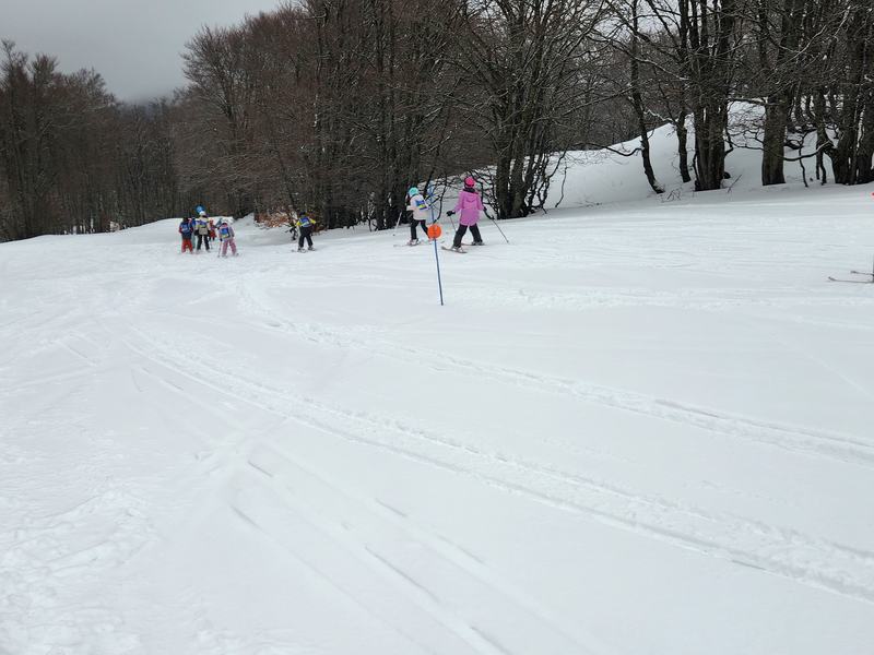 Le Royans sous la neige